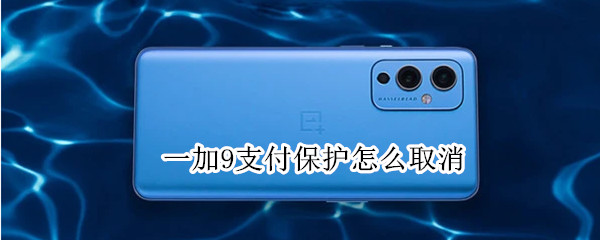 一加9支付保护怎么取消（一加怎么关闭支付保护）