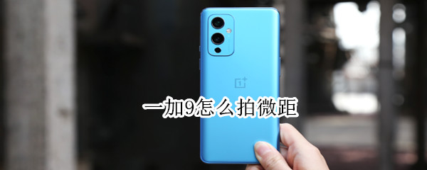 一加9怎么拍微距（一加9怎么拍微距照片）