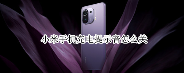 小米手机充电提示音怎么关 小米手机充电提示音怎么关miui12