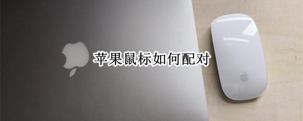 苹果鼠标如何配对（苹果鼠标如何配对Windows）