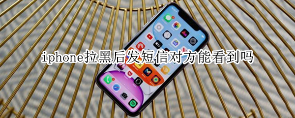 iphone拉黑后发短信对方能看到吗 发短信能看出对方拉黑你了吗