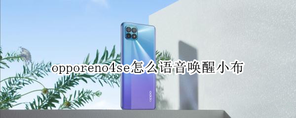 opporeno4se怎么语音唤醒小布 opporeno如何语音唤醒小布
