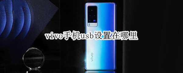 vivo手机usb设置在哪里（vivo手机usb设置在哪里关闭）