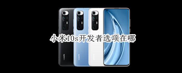 小米10s开发者选项在哪（小米10S开发者选项在哪里）