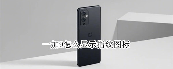 一加9怎么显示指纹图标（一加9指纹在哪）