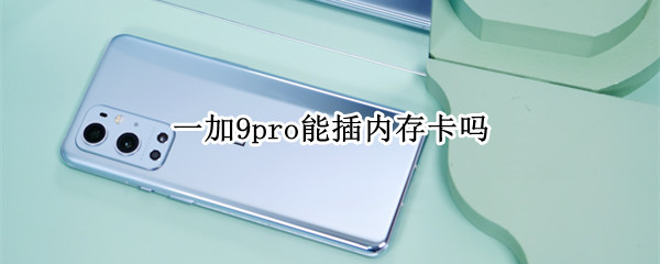一加9pro能插内存卡吗（一加9pro支持内存扩展吗）