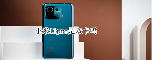 小米11pro是双卡吗 小米11pro是双卡双待手机吗