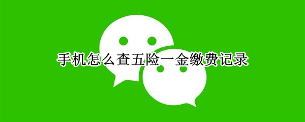 手机怎么查五险一金缴费记录（手机怎么查五险的缴费记录）