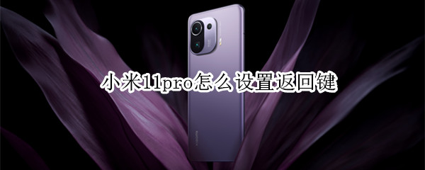 小米11pro怎么设置返回键（小米11pro怎么设置返回键在屏幕上）