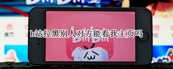 b站拉黑别人对方能看我主页吗（b站拉黑别人看得到动态吗）