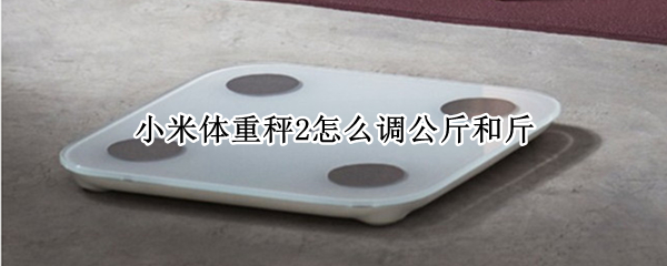 小米体重秤2怎么调公斤和斤（小米体重秤2怎么调整公斤和斤）