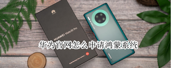 华为官网怎么申请鸿蒙系统（华为官网怎么申请鸿蒙系统账号）