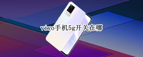 vivo手机5g开关在哪（vivo手机5g开关在哪里打开）