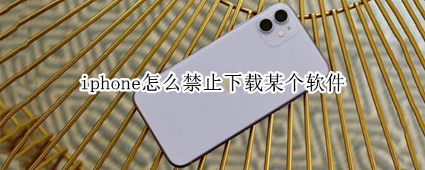 iphone怎么禁止下载某个软件 iphone如何禁止下载一个软件
