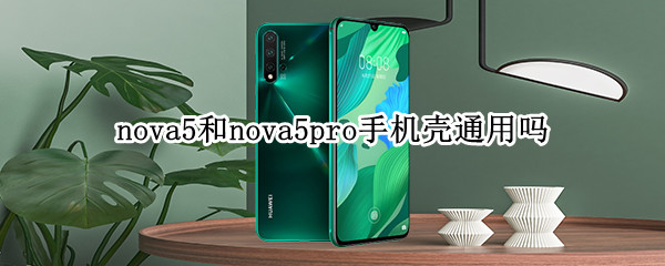 nova5和nova5pro手机壳通用吗（华为nova5和nova5pro的手机壳区别）