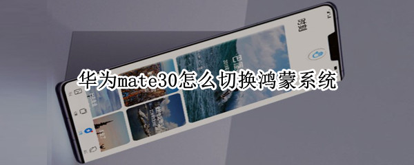 华为mate30怎么切换鸿蒙系统（华为mate30怎么切换鸿蒙系统）