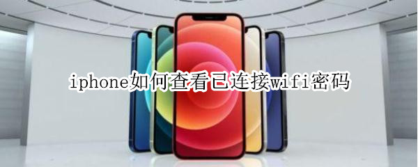 iphone如何查看已连接wifi密码 iphone怎样查看已连接wifi密码