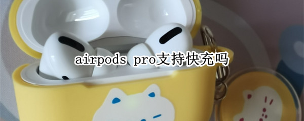 airpods pro支持快充吗