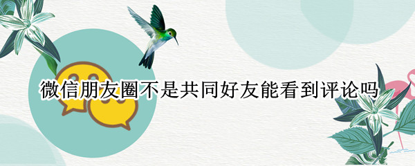 微信朋友圈不是共同好友能看到评论吗
