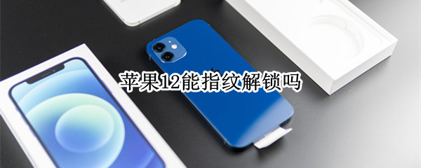 苹果12能指纹解锁吗（苹果12能指纹解锁吗?）