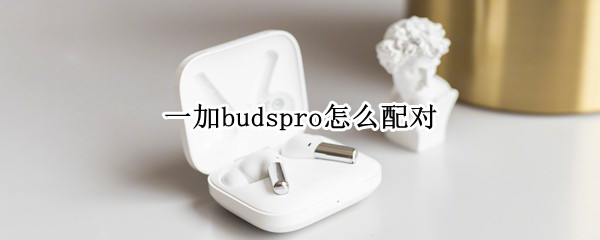 一加budspro怎么配对（一加budsPro）