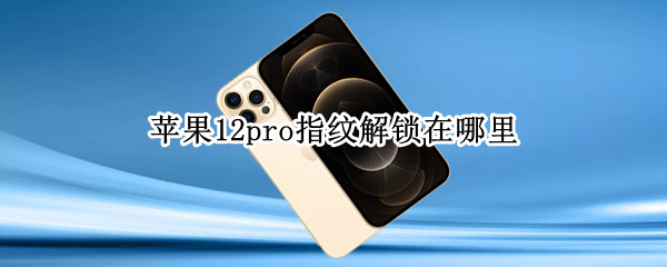 苹果12pro指纹解锁在哪里（苹果12pro指纹解锁在哪里找）
