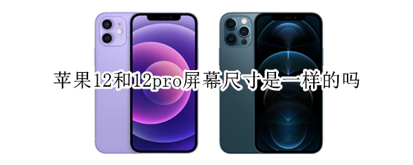 苹果12和12pro屏幕尺寸是一样的吗 苹果12和12pro屏幕尺寸是一样的吗怎么设置