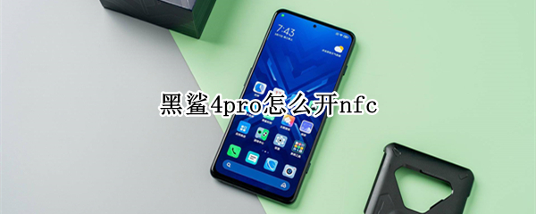 黑鲨4pro怎么开nfc 黑鲨4pro怎么开启开发者选项