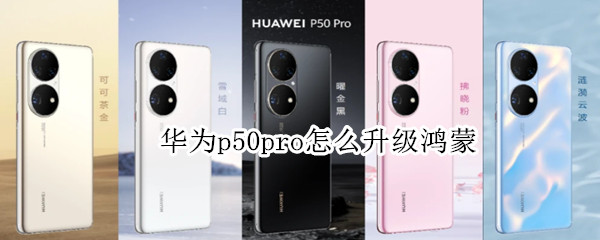 华为p50pro怎么升级鸿蒙（华为p50pro怎么升级鸿蒙3.0）
