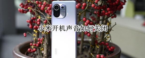 小米开机声音如何关闭 小米开机声音怎么关闭
