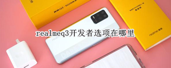 realmeq3开发者选项在哪里（realmeq2开发人员选项）