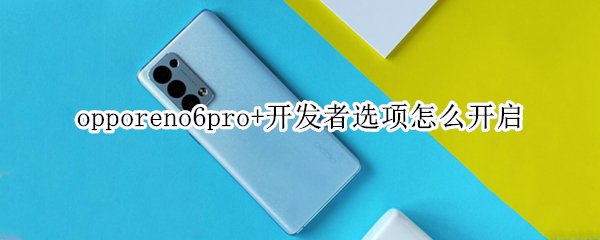 opporeno6pro+开发者选项怎么开启 oppo reno 6怎么开启开发者选项