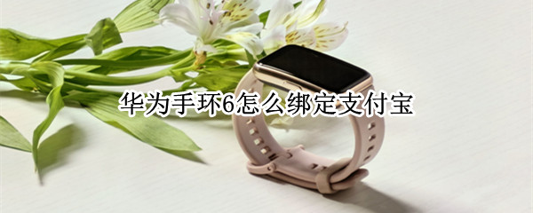 华为手环6怎么绑定支付宝（华为手环6怎么绑定支付宝运动）