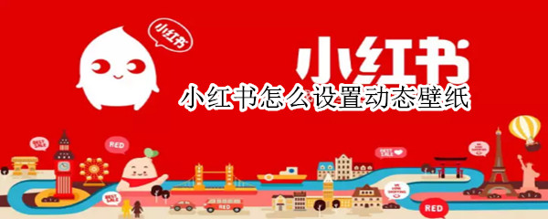 小红书怎么设置动态壁纸（vivo手机小红书怎么设置动态壁纸）