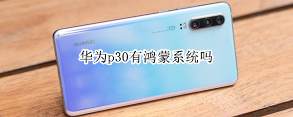 华为p30有鸿蒙系统吗 华为p30有鸿蒙系统吗?