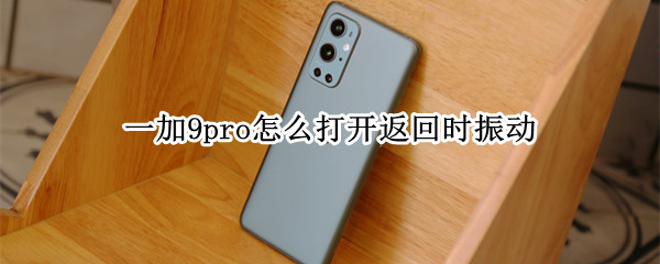 一加9pro怎么打开返回时振动（一加9pro怎么打开返回时振动模式）