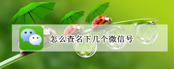 怎么查名下几个微信号（怎么查名下几个微信号的）