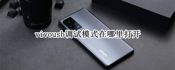 vivousb调试模式在哪里打开 VIVOusb调试模式怎么打开