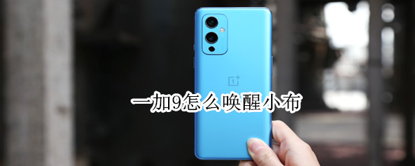 一加9怎么唤醒小布 一加9怎么唤醒小布助手