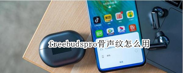 freebudspro骨声纹怎么用 freebuds3pro骨声纹怎么用