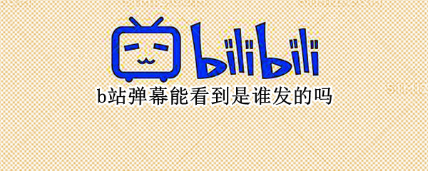 b站弹幕能看到是谁发的吗（b站弹幕可以看是谁发的吗）