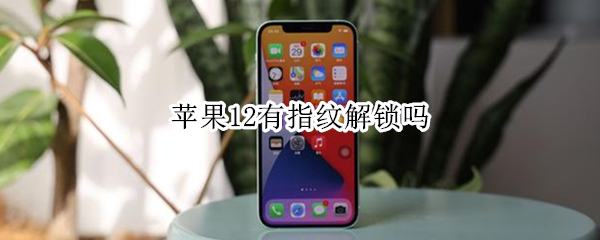 苹果12有指纹解锁吗 iphone11有指纹解锁吗