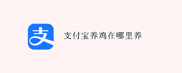支付宝养鸡在哪里养（支付宝的养鸡场在哪）