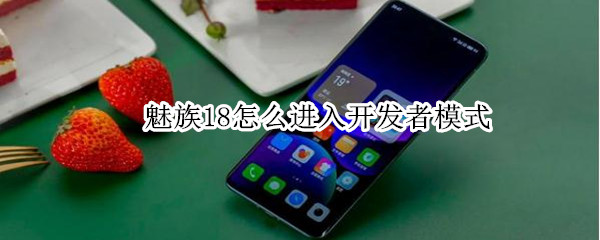 魅族18怎么进入开发者模式（魅族18怎么进入开发者选项）