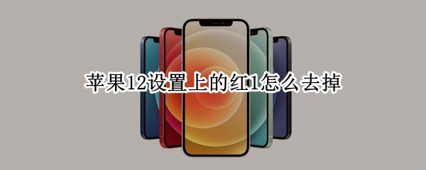 苹果12设置上的红1怎么去掉 苹果12设置上的红1怎么去掉但是没有下载更新