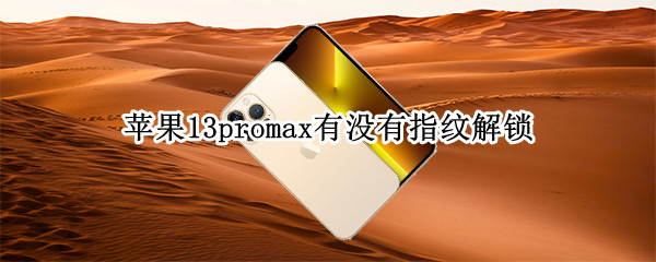 苹果13promax有没有指纹解锁（苹果13promax有指纹锁吗）