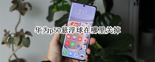 华为p50悬浮球在哪里关掉 华为p40怎么把悬浮球关掉