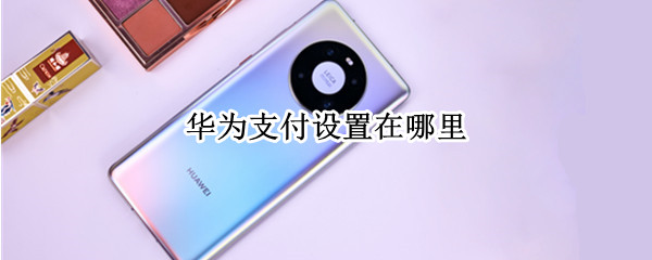华为支付设置在哪里（华为支付设置在哪里关闭）