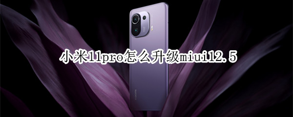 小米11pro怎么升级miui12.5 小米11pro怎么升级开发版