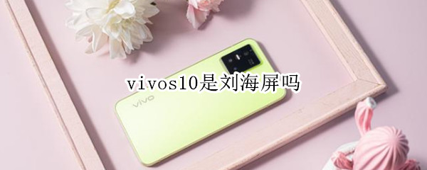vivos10是刘海屏吗（vivos10为什么还用刘海屏）